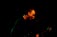 Live, Evreux - 8