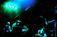 Live, Paris - 10